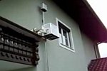 Katzen-Fahrstuhl