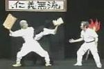 Karate Meister