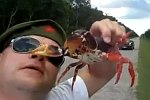 Krabbe kneift einem Russen in die Nase