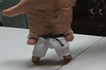 Taekwondo Finger-Kämpfer