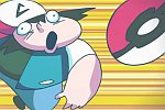 PokeAwesome - Just a Pokemon Battle