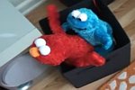 Elmo und das Krümelmonster