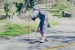 Gandalf auf einem Longboard