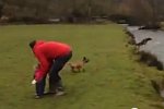 Hund springt über Fluss