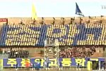 Fußballfans in Südkorea