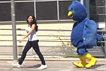 Remi Gaillard als Twitter-Vogel