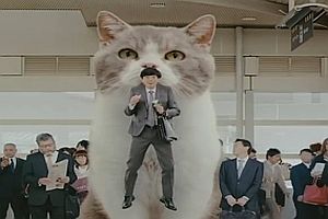 Japanische Riesenkatze