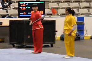 Kampfsport Wushu