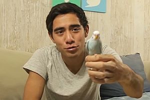 Zach King - Magic Compilation 2014