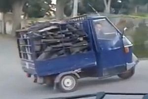 Holztransport mit einem Piaggio Ape 50