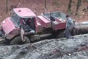 Unimog, ein echtes Arbeitstier