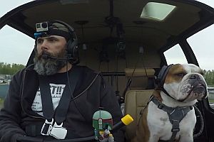 Hund als Co-Pilot im Hubschrauber