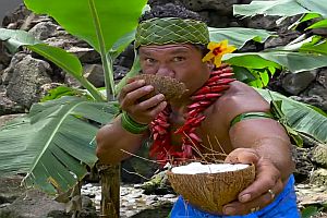 So öffnet man eine Kokosnuss
