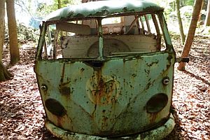 Alter VW-Bus aus dem Wald