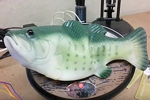 Sprechender Alexa-Fisch