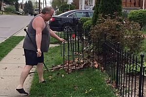 Kunststücke bei der Gartenarbeit