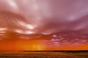 Undulatus Asperatus Sunset