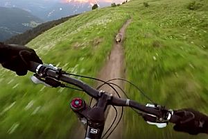 Mountainbiker verfolgt ein Murmeltier