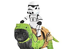 Taurücken mit Stormtrooper Hundekostüm