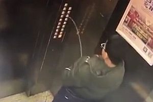 Junge pinkelt auf Fahrstuhlknöpfe