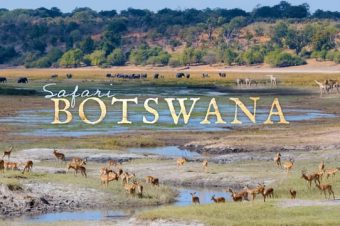 Safari in Botswana