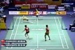 Badminton in Perfektion