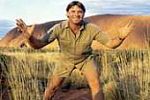 Der Crocodile Hunter ist tot