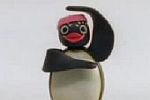 Pinguin Disco