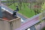 Parkour Speeders