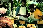 Melonenverkauf in der Karibik