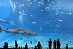 Zweitgrößtes Aquarium der Welt