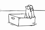 Simon's Cat in the Box