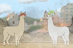 Llamas with Hats 3