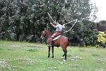 Seilspringen mit einem Pferd